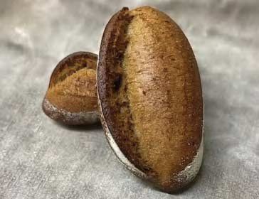 Rietmann panelis