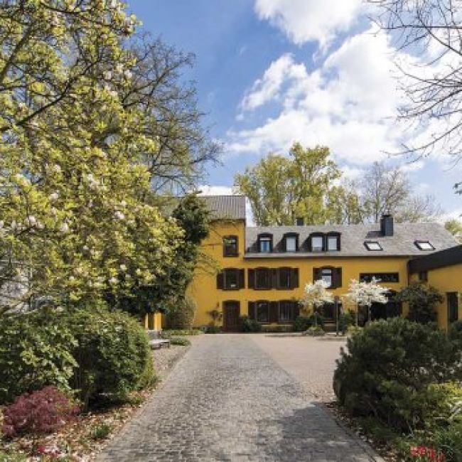 Mezclas de pastelería y panadería saludable