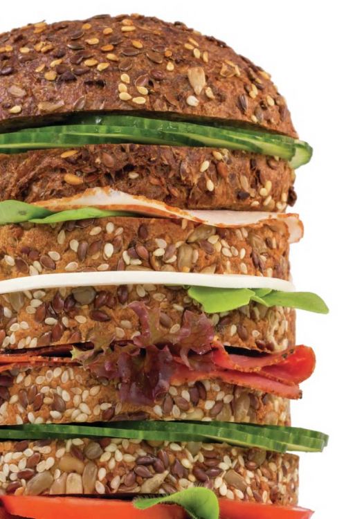 Mezclas Proteicas y Bajas en carbohidratos