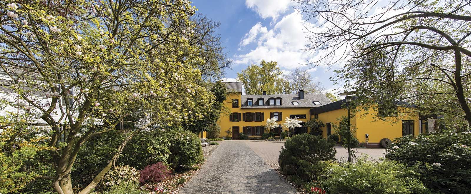 Mezclas de pastelería y panadería saludable